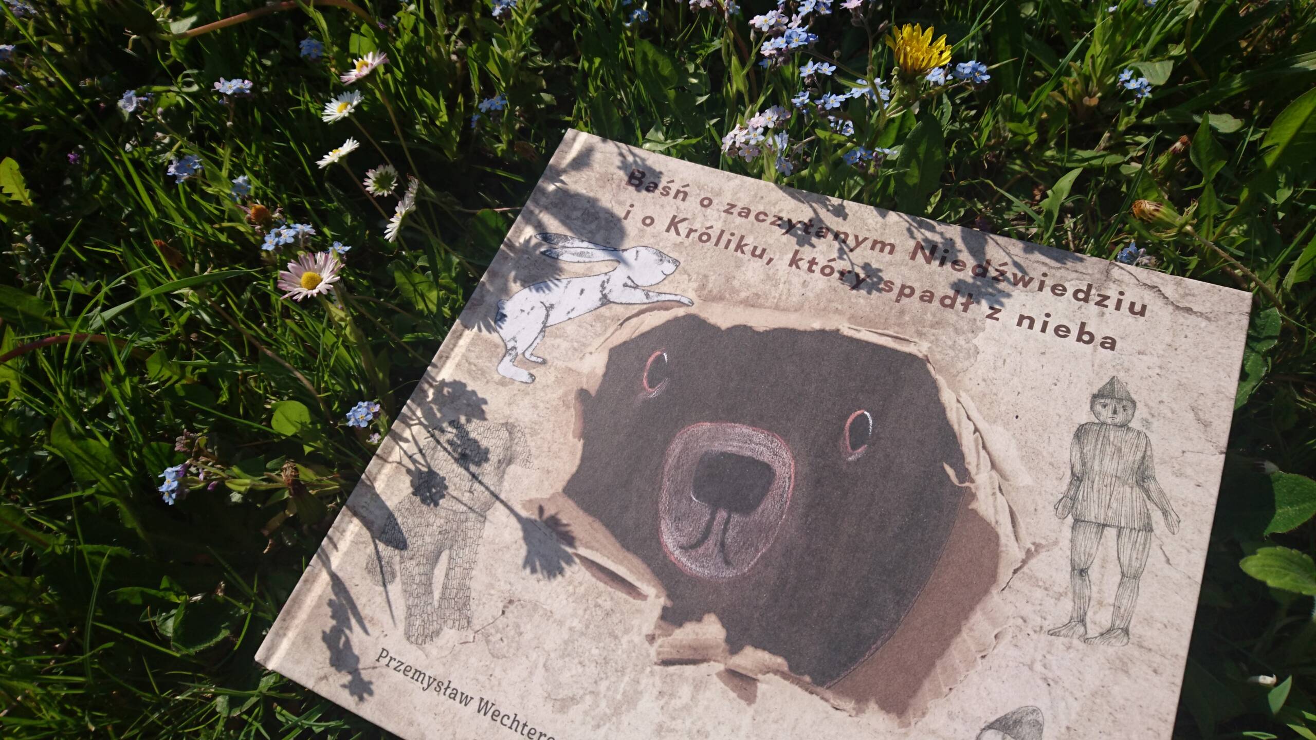 BASN_o_zaczytanym_Niedzwiedziu_kinderkulka